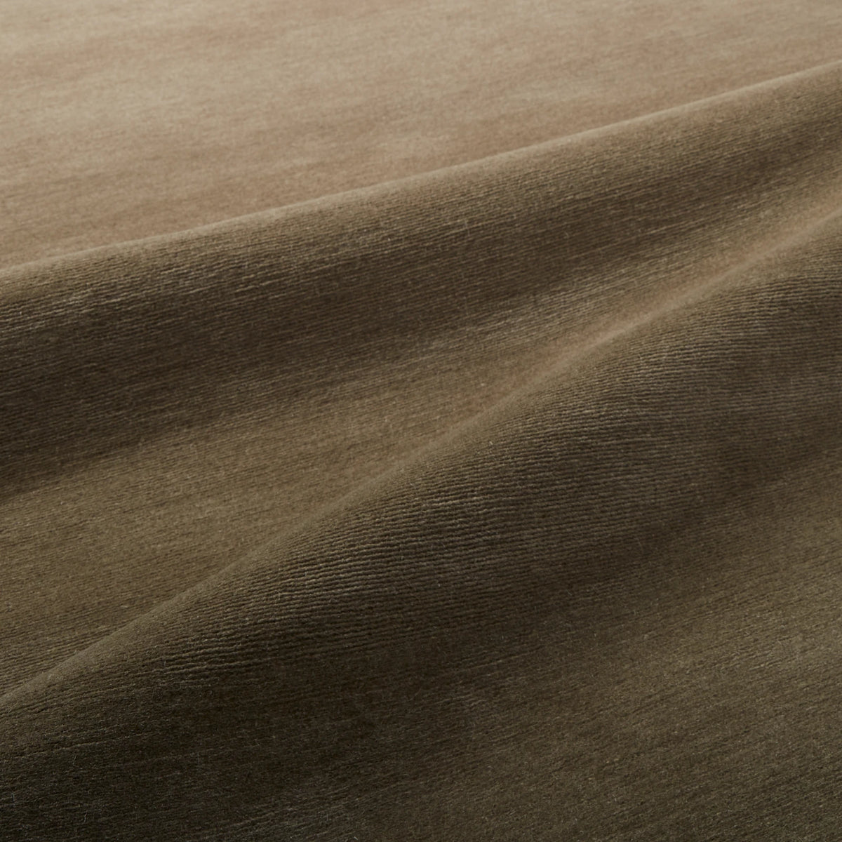 Thayer Mocha