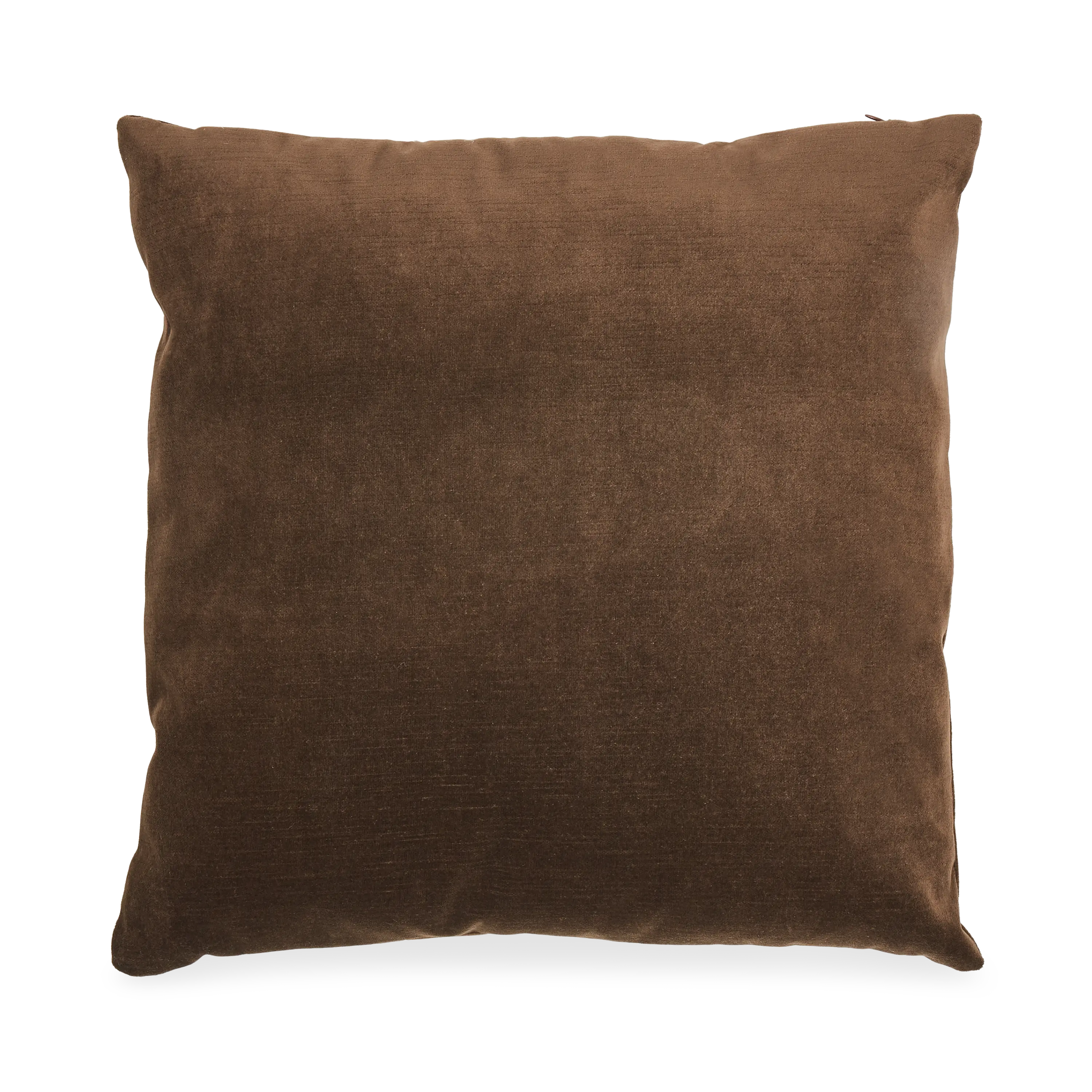 Solid Velvet Pillow