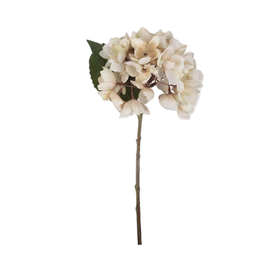 Hydrangea Morning Mist Stem with creamy white clustered blooms, soft green leaves and a slender natural-looking stem