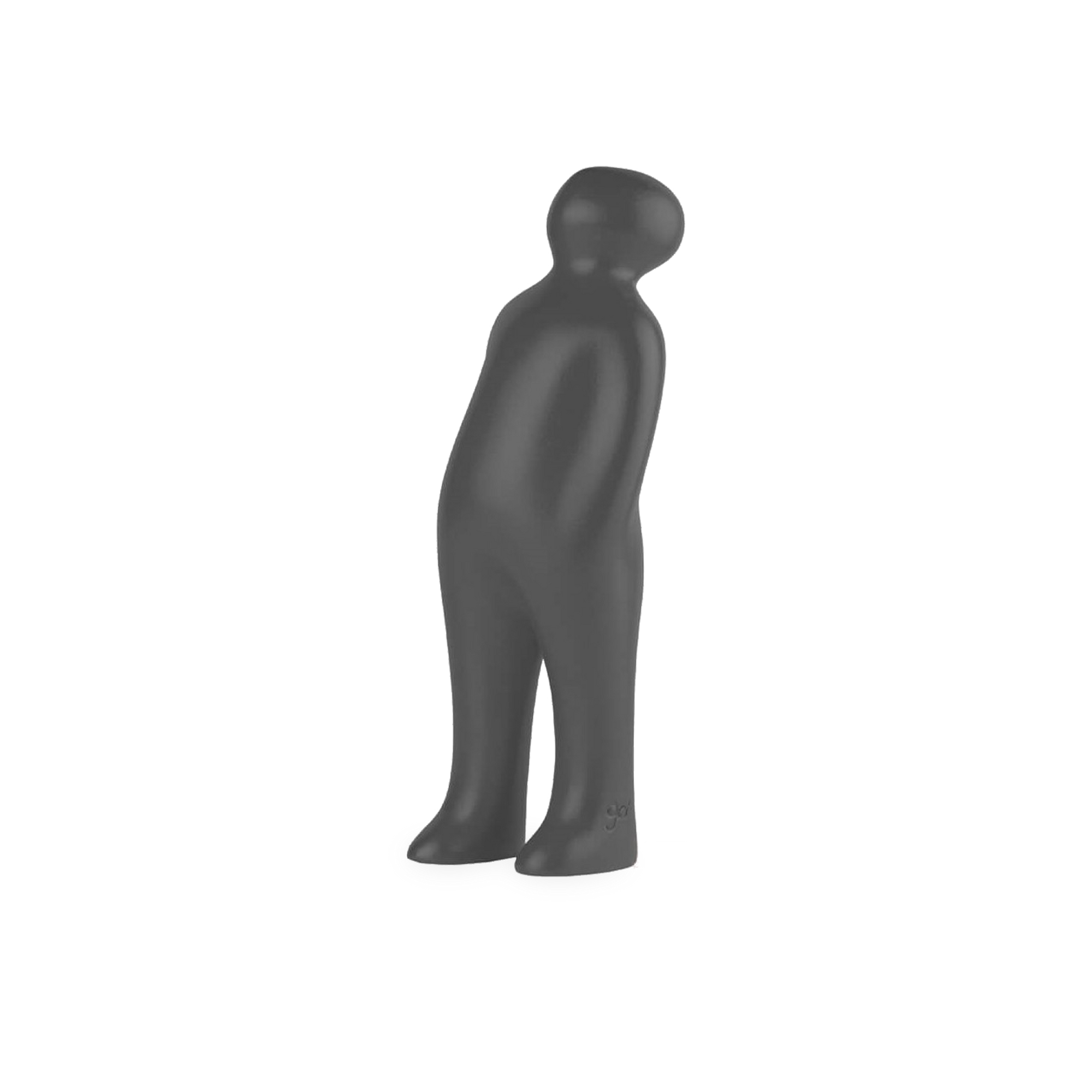 The Visitor