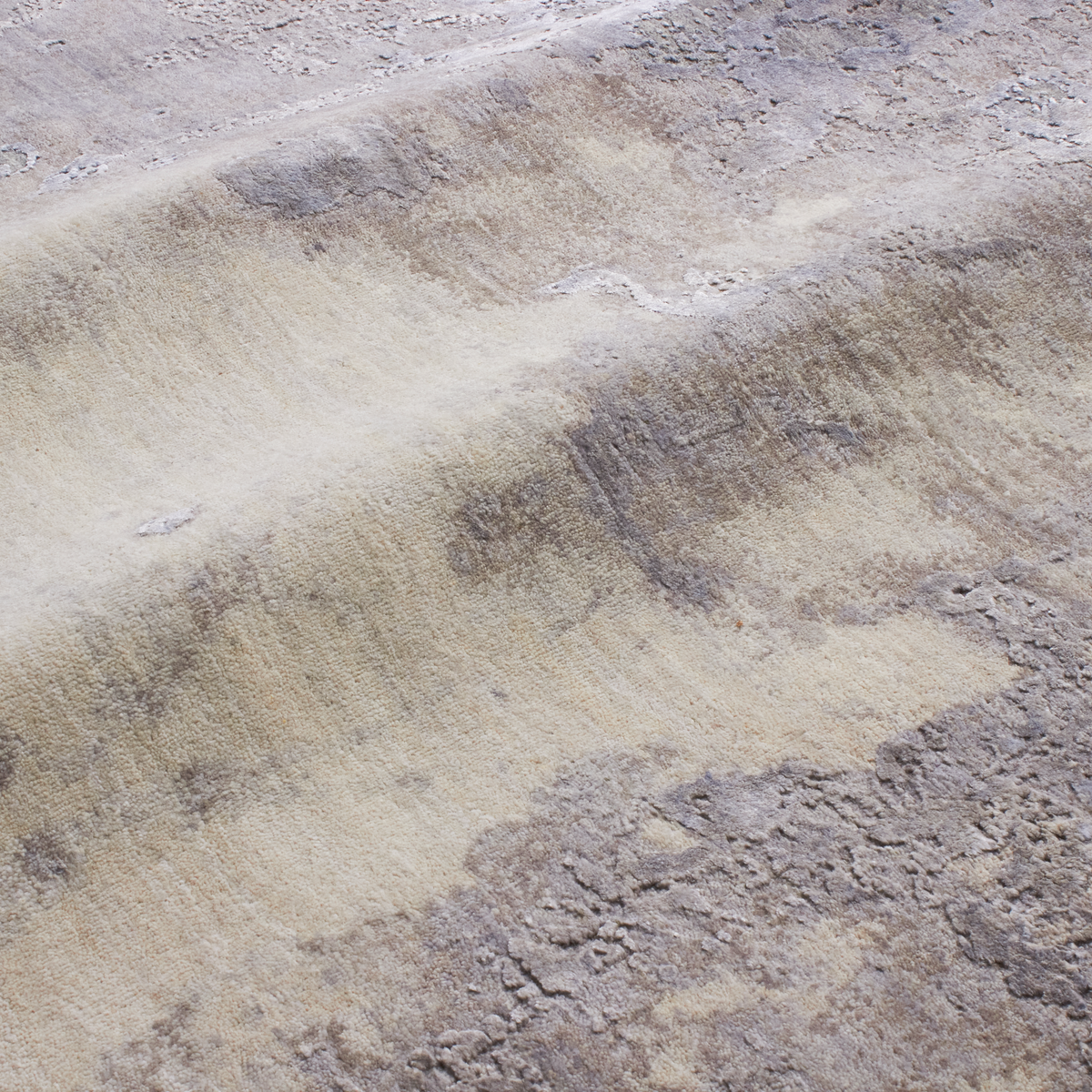 Roman Ram Grey Scale