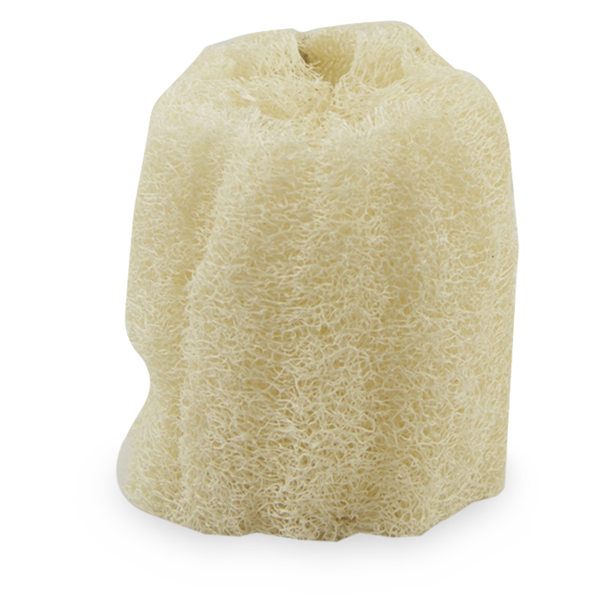 Loofah