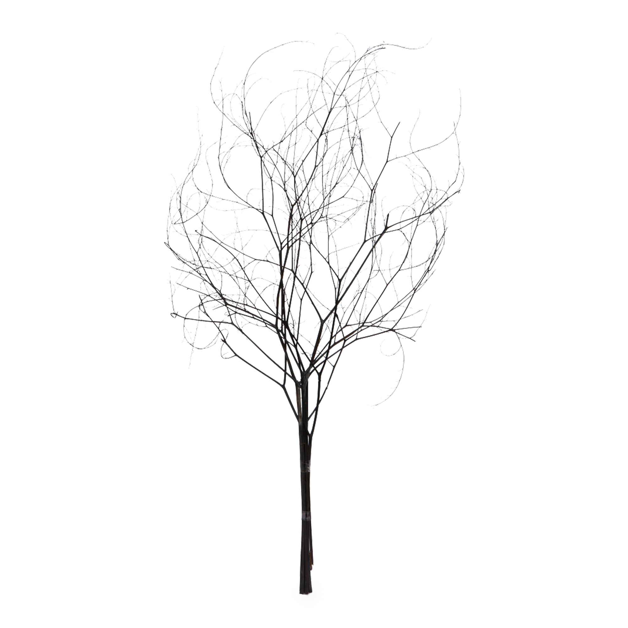Marrying thoughtfully selected preserved botanicals with harvested branches, Elte's Natural Botanicals are professionally preserved to the highest quality.