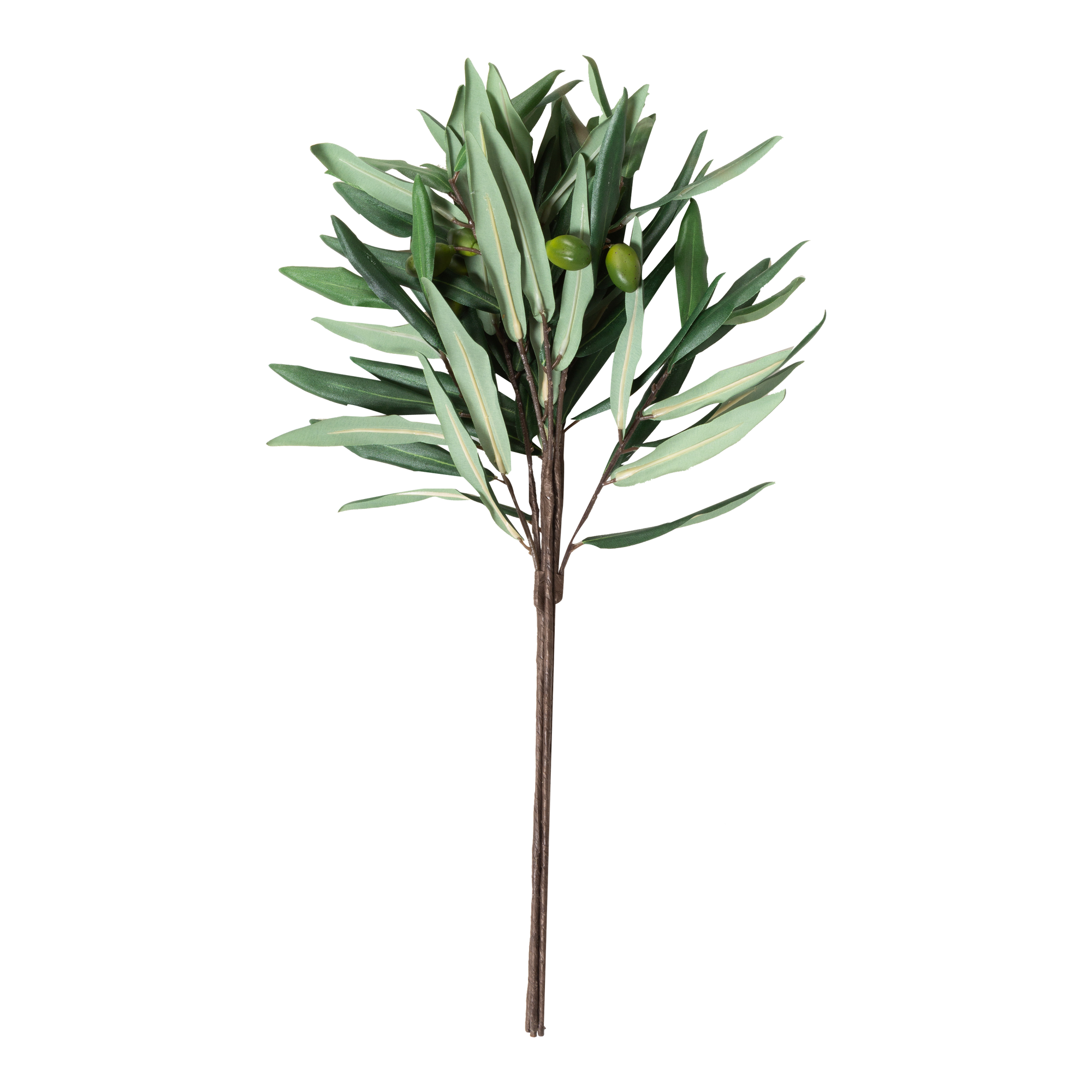 Elevating the atmosphere in your indoor rooms with a natural green touch without the necessity of care, the Olive Branch provides an elegant, slender body with an abundance of perf