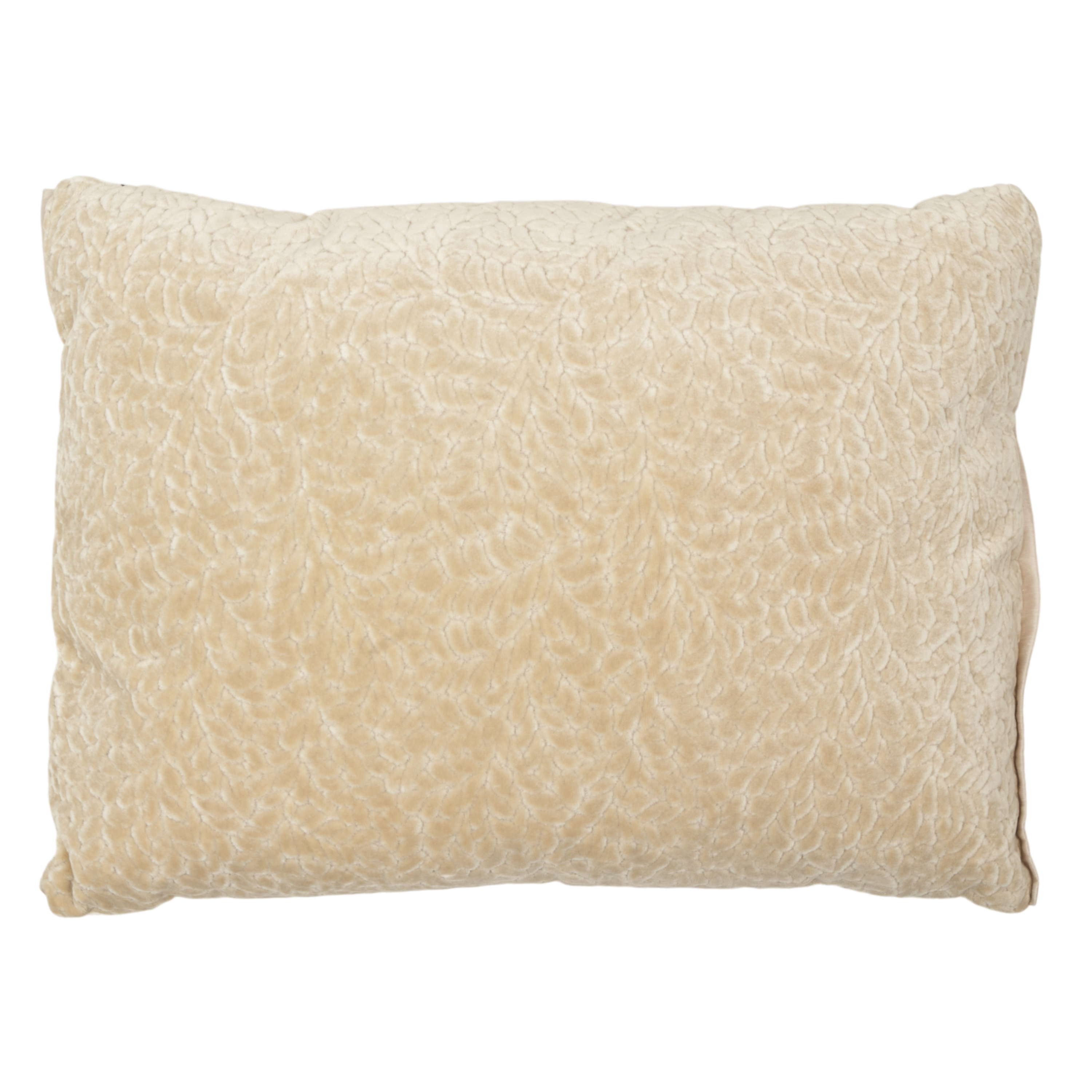 Cartouche Velvet Pillow