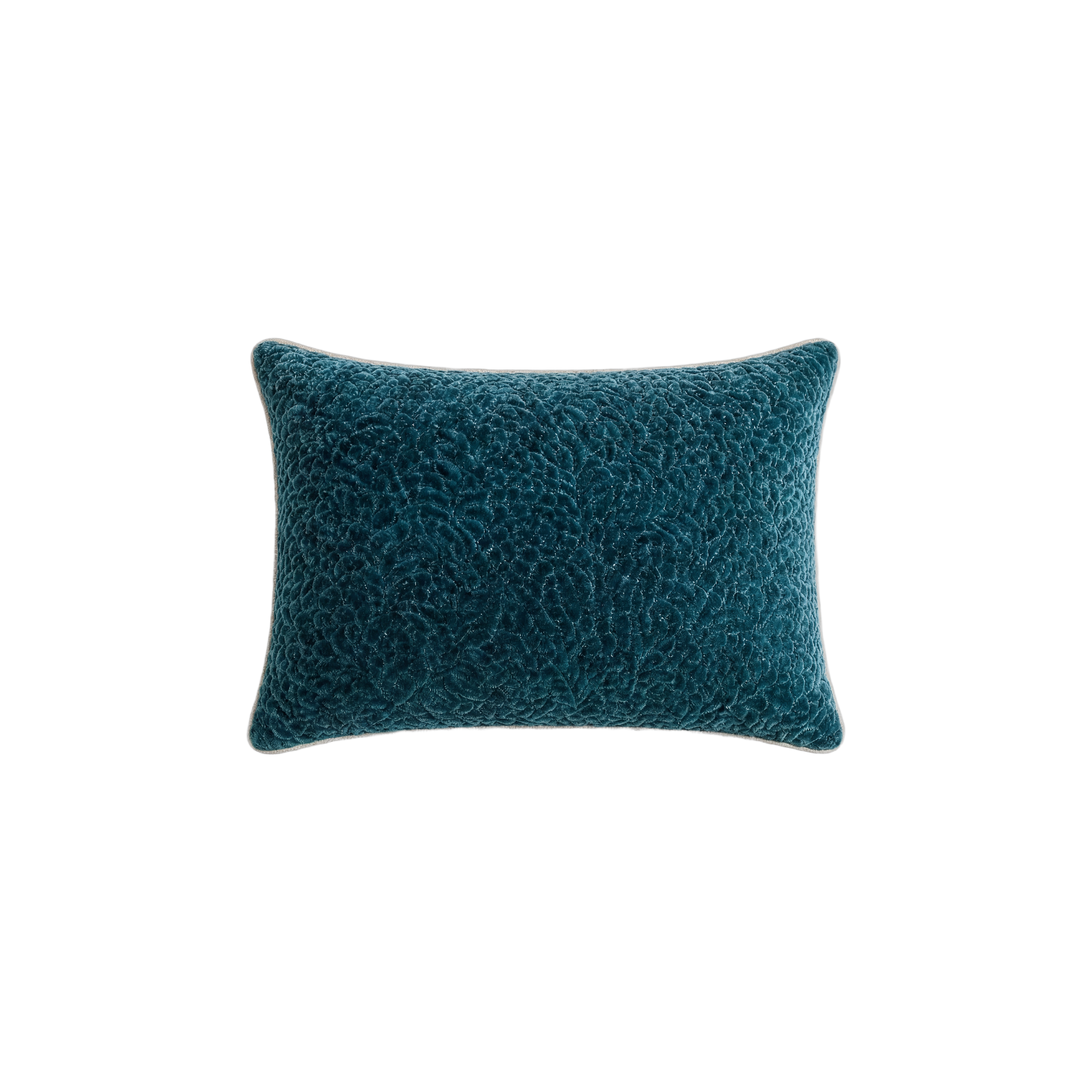 Cartouche Velvet Pillow