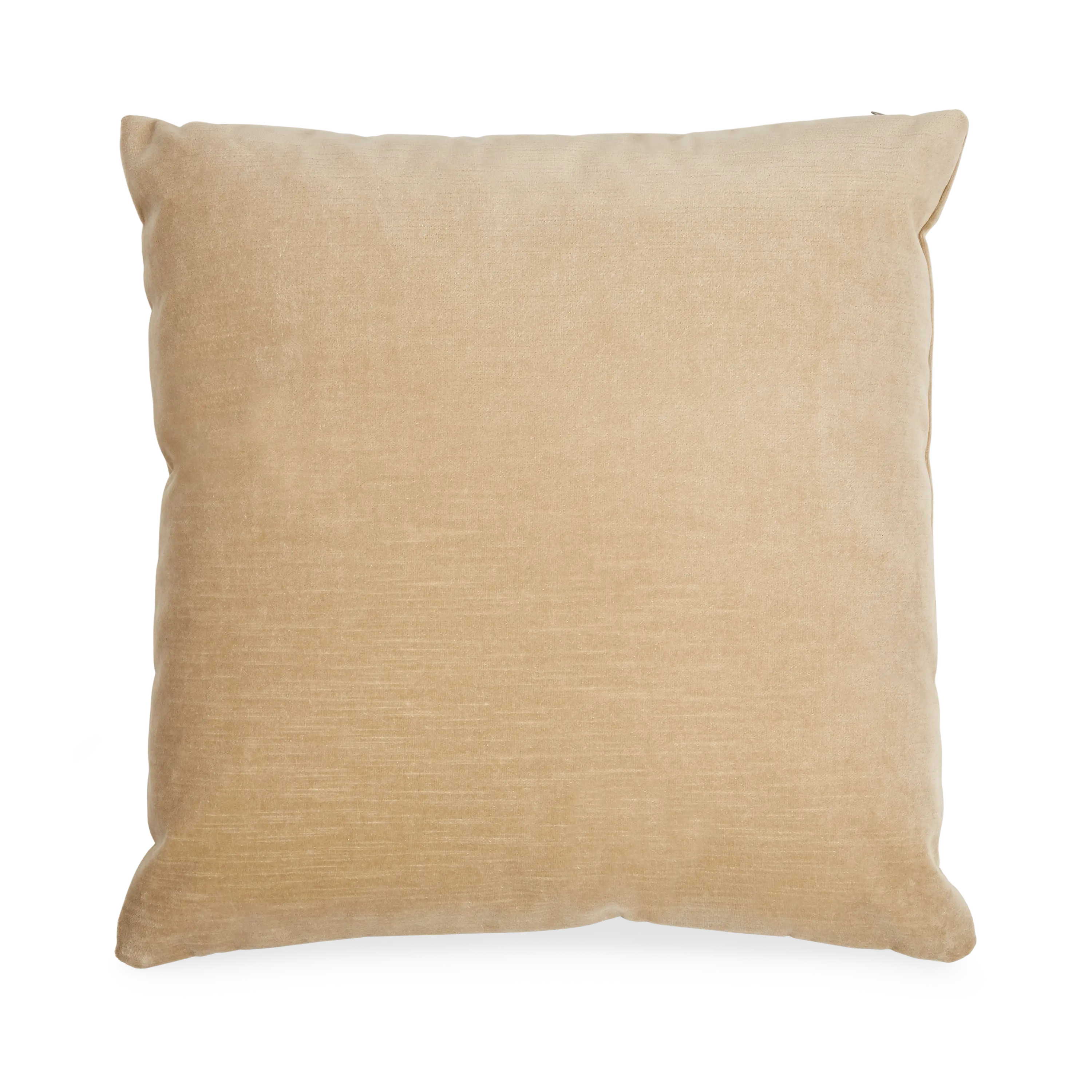 Solid Velvet Pillow
