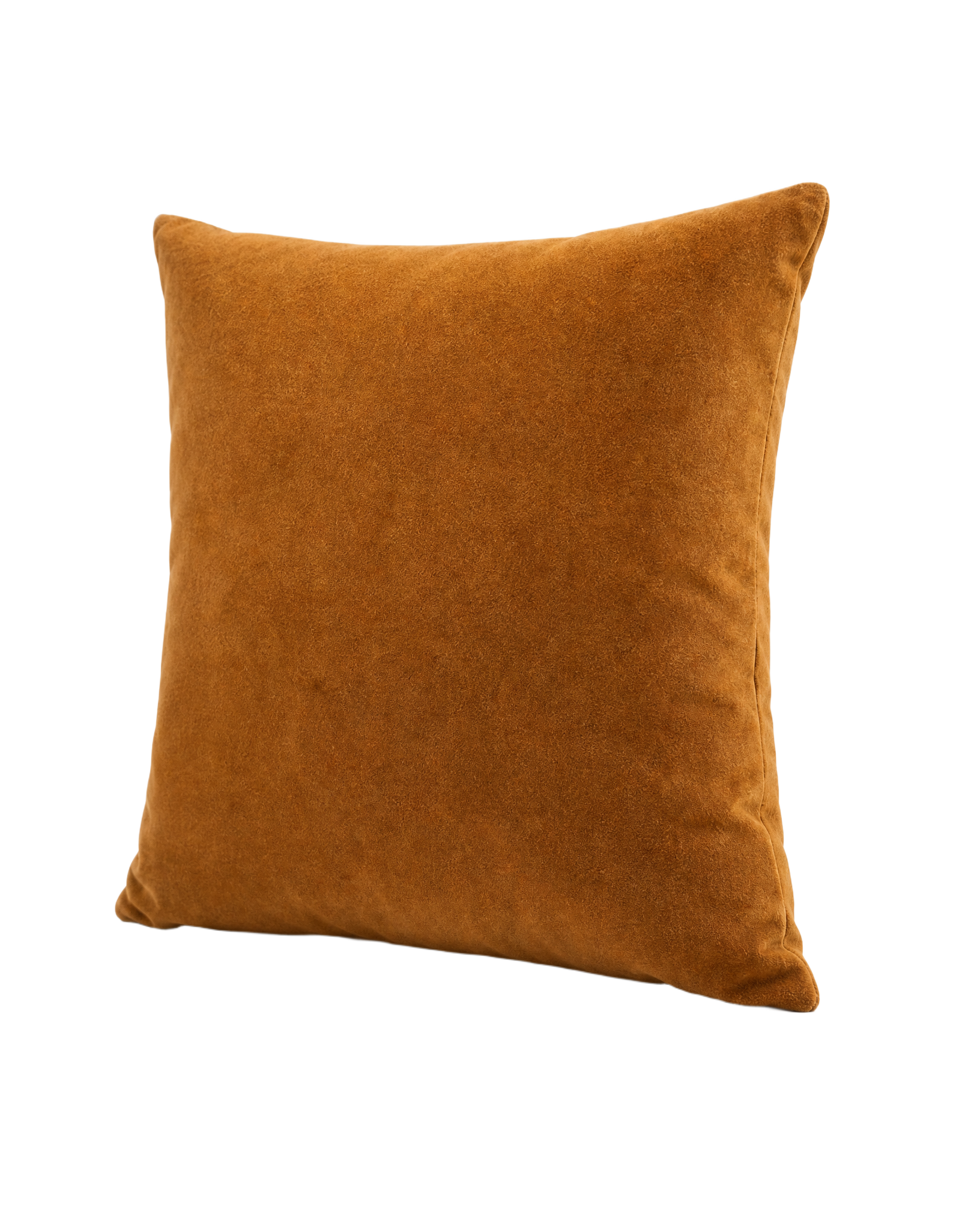 Solid Velvet Pillow