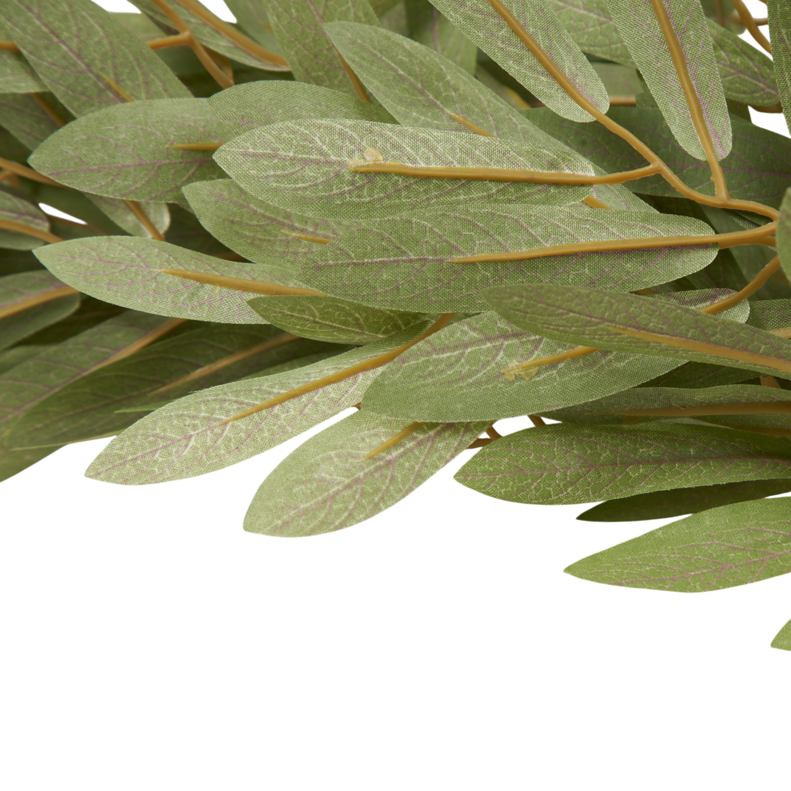 Soft Willow Stem