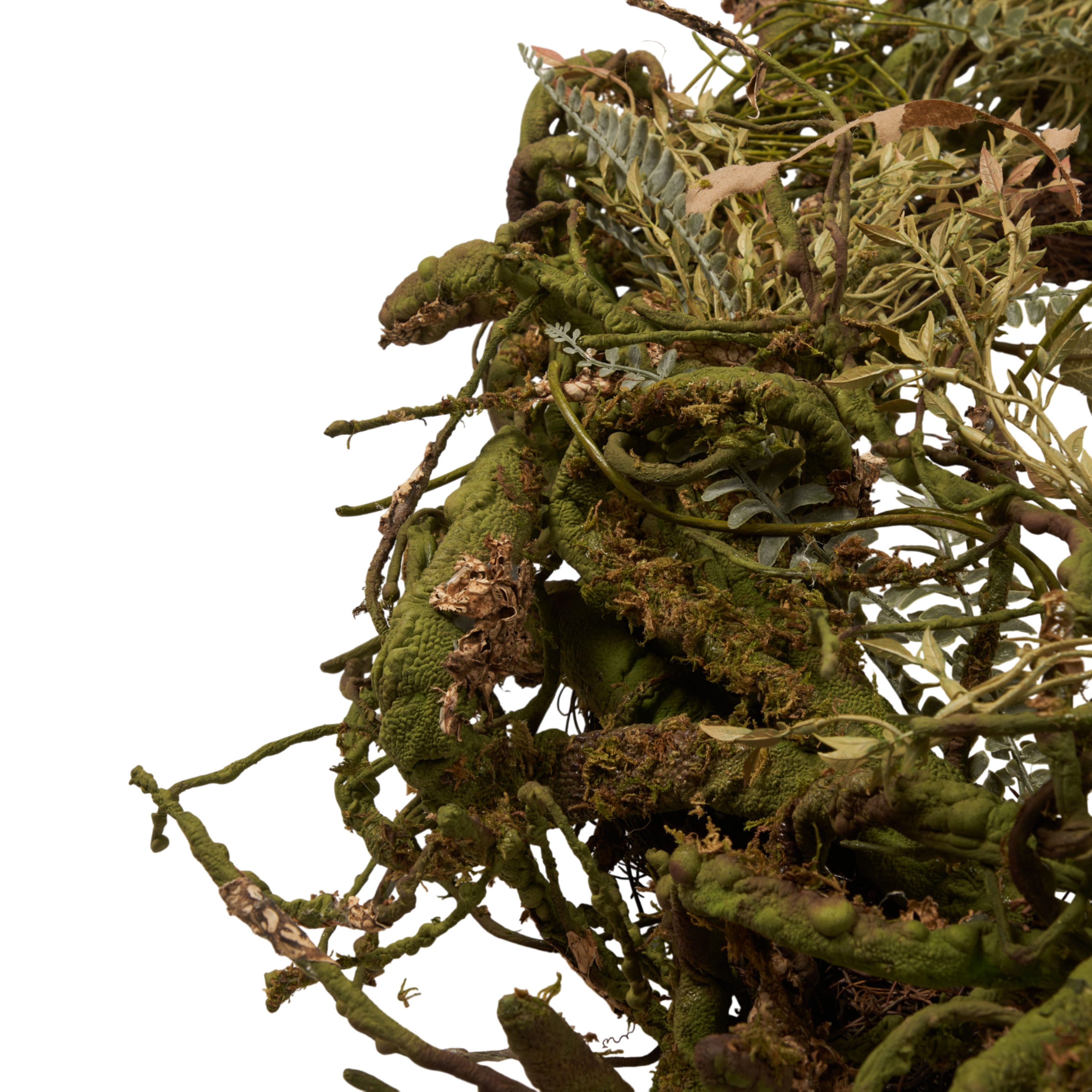 Forest Wreath