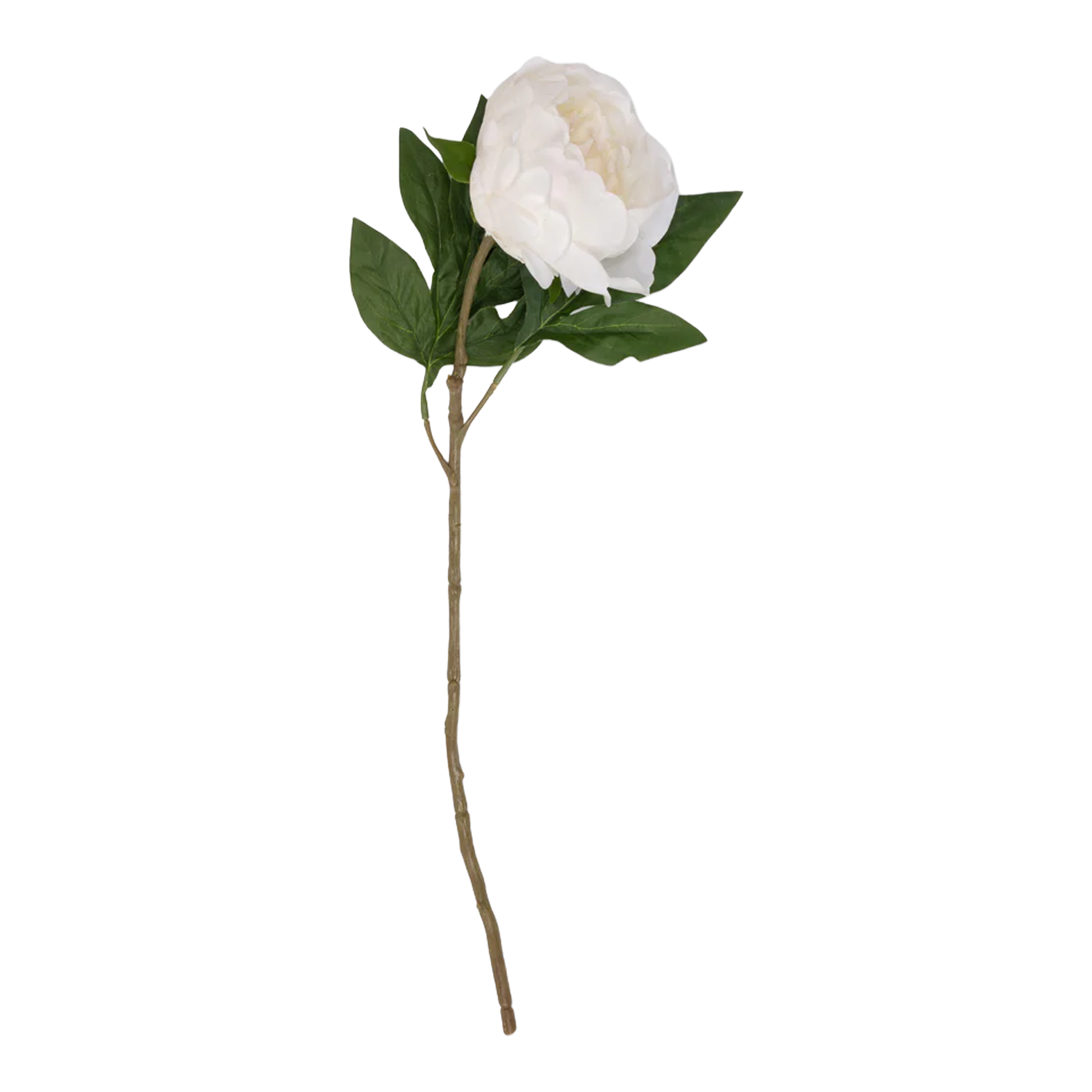 Real Touch Peony Stem