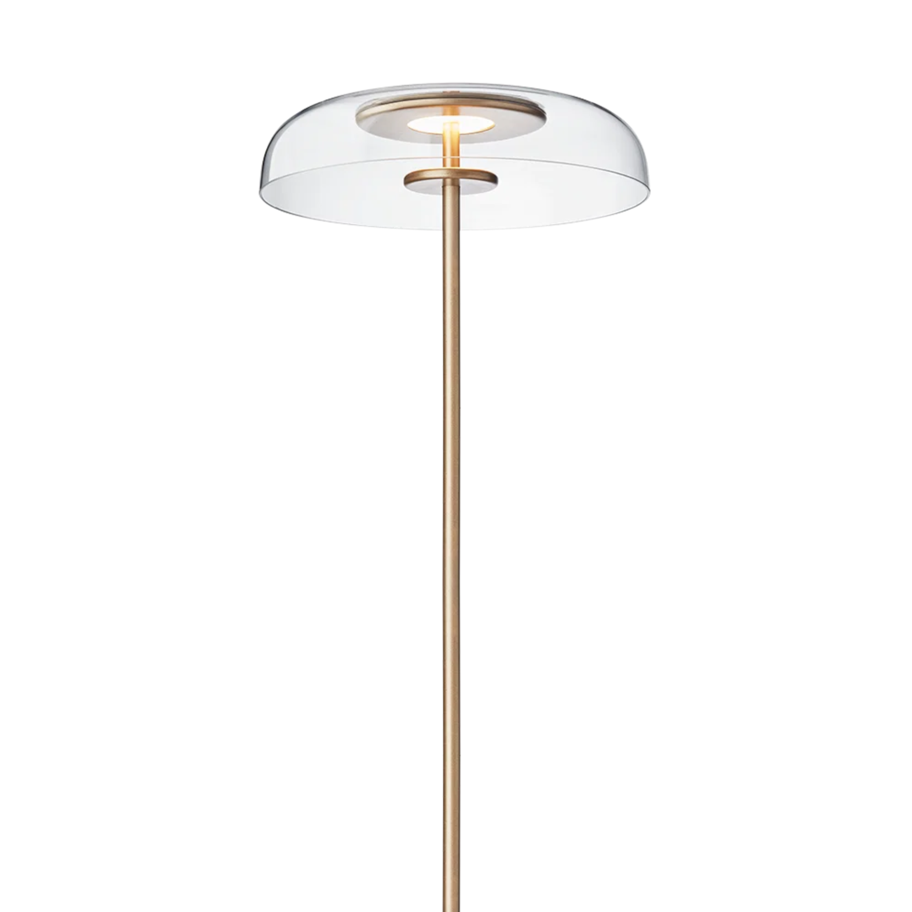 Close-up of Blossi gold floor lamp featuring a clear glass dome shade and softly illuminated integrated light source.