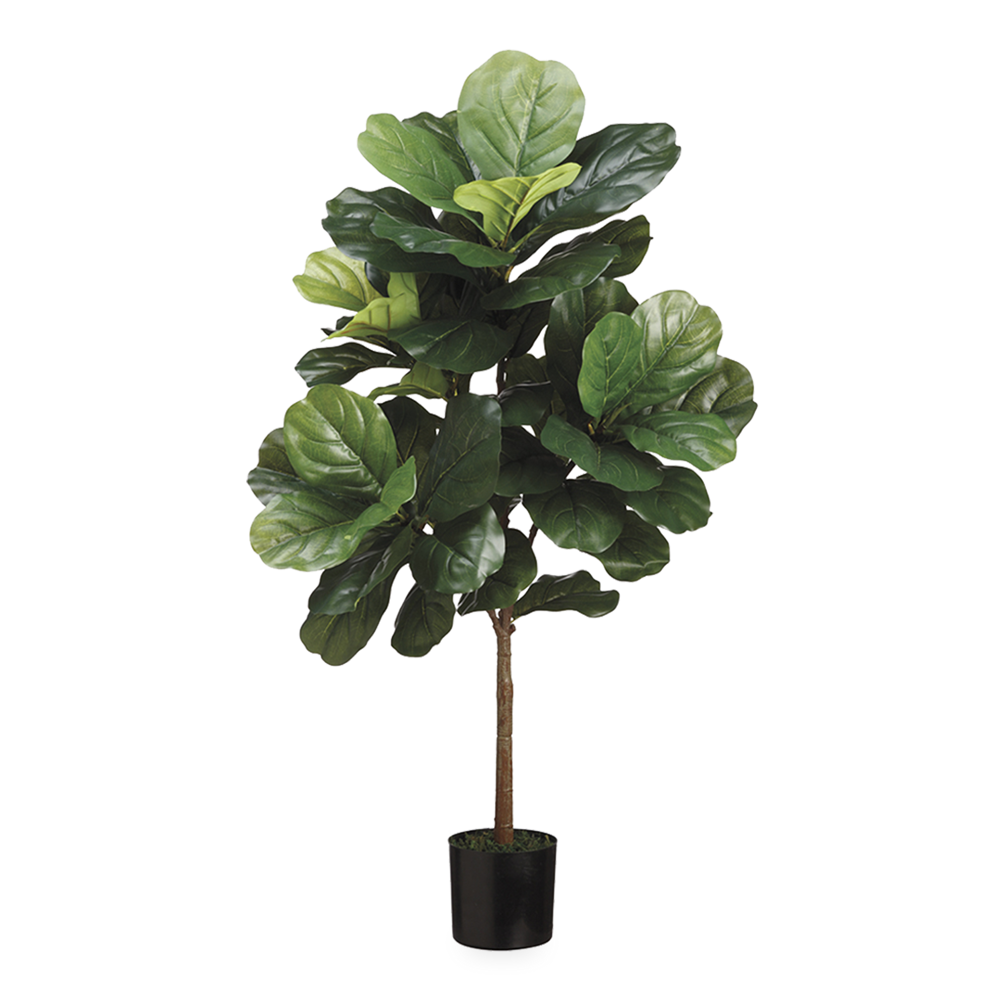 This elegant faux Fiddle Leaf Tree stands 3 feet tall with a kempt body and lush foliage at the top.