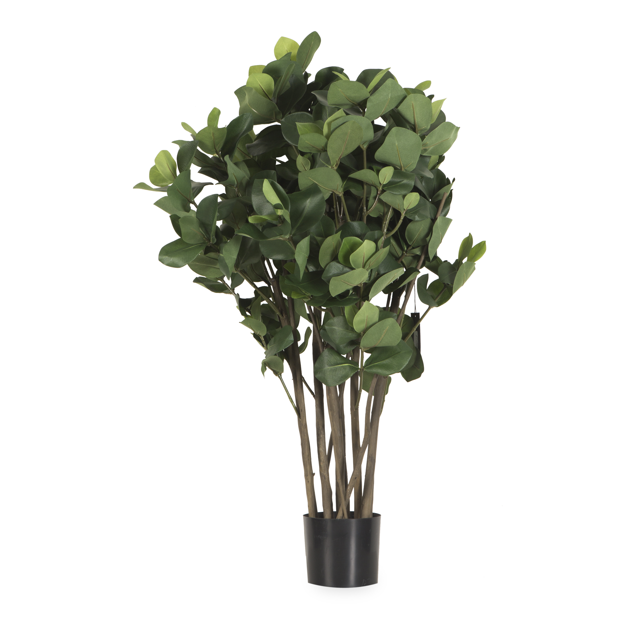 This elegant faux Golden Laurel Tree stands 3 feet tall with a kempt body and lush foliage at the top.