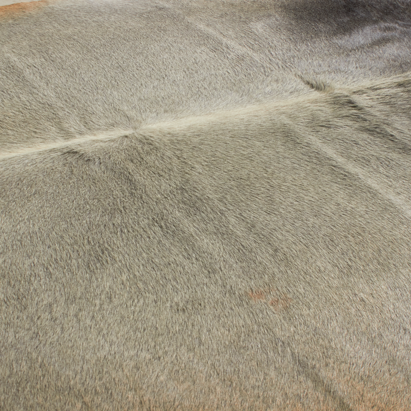 About the Hydes and Furs Collection:The highest quality hydes and furs are used in this collection.