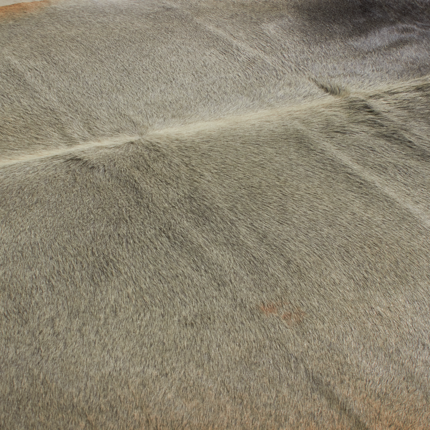 About the Hydes and Furs Collection:The highest quality hydes and furs are used in this collection.
